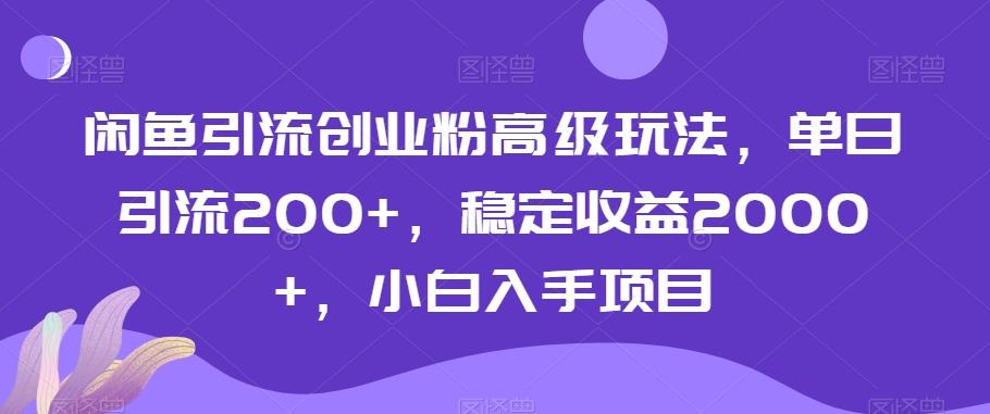 闲鱼引流创业粉高级玩法，单日引流200+，稳定收益2000+，小白入手项目-七七项目网