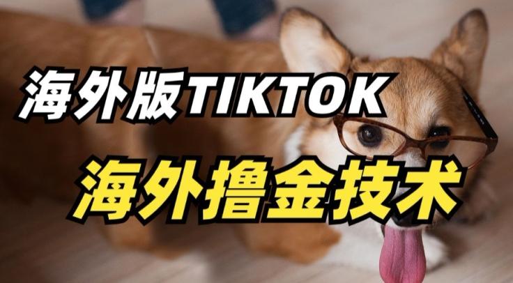 抖音海外版tiktok撸金技术，这个风口行业，赚钱真的不难【揭秘】-七七项目网