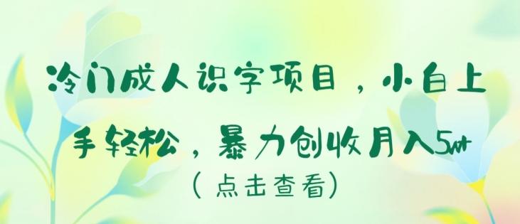 冷门成人识字项目，小白上手轻松，暴力创收月入5w+【揭秘】-七七项目网