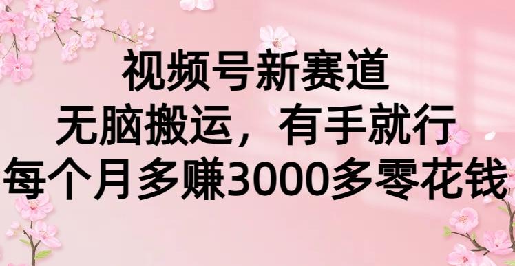 (9278期)视频号新赛道，无脑搬运，有手就行，每个月多赚3000多零花钱-七七项目网