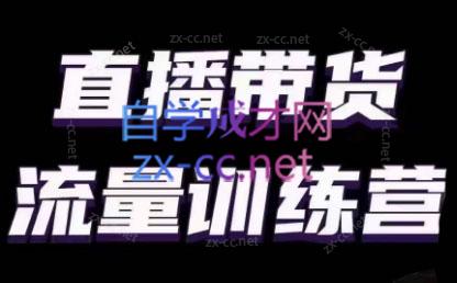 婉婉·直播带货课程系列合集(更新8月)-七七项目网