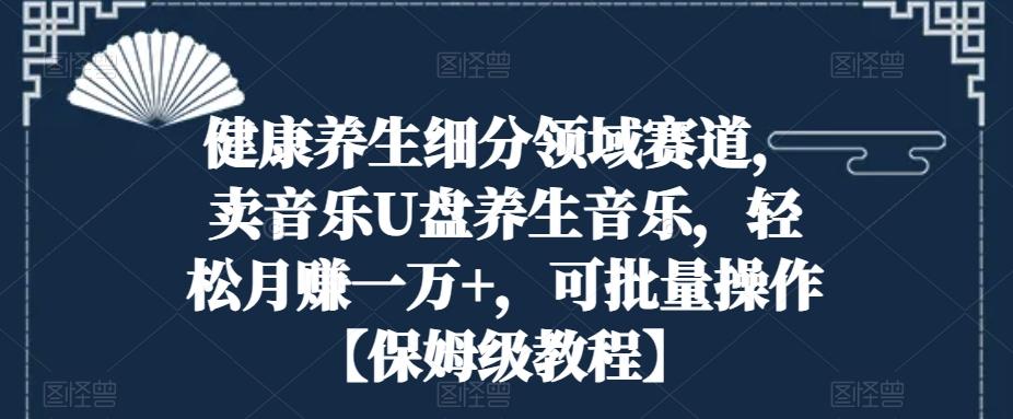 健康养生细分领域赛道，卖音乐U盘养生音乐，轻松月赚一万+，可批量操作【保姆级教程】-七七项目网