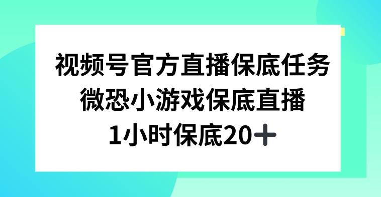 视频号直播任务，微恐小游戏，1小时20+【揭秘】-七七项目网