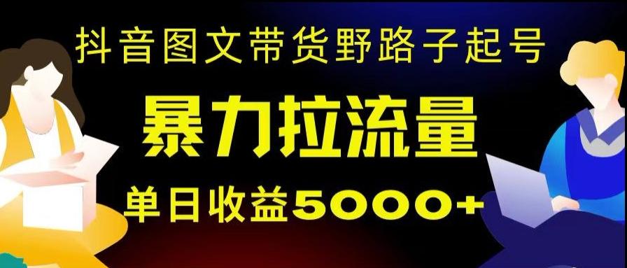 抖音图文带货暴力起号，单日收益5000+，野路子玩法，简单易上手，一部手机即可【揭秘】-七七项目网