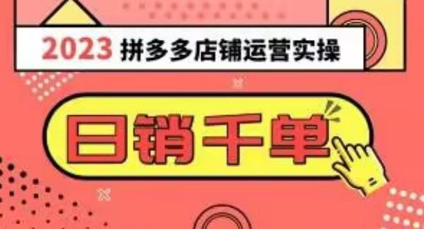 2023拼多多运营实操，每天30分钟日销1000＋，爆款选品技巧大全（10节课）-七七项目网