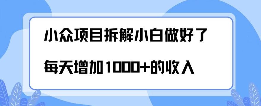 小众项目拆解，小白做好了每天可增加1000多的收入-七七项目网