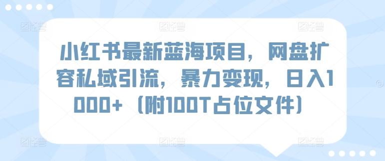 小红书最新蓝海项目，网盘扩容私域引流，暴力变现，日入1000+(附100T占位文件)【揭秘】-七七项目网