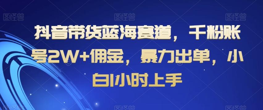 抖音带货蓝海赛道，千粉账号2W+佣金，暴力出单，小白1小时上手【揭秘】-七七项目网