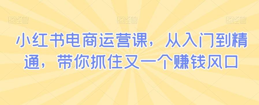 小红书电商运营课，从入门到精通，带你抓住又一个赚钱风口-七七项目网