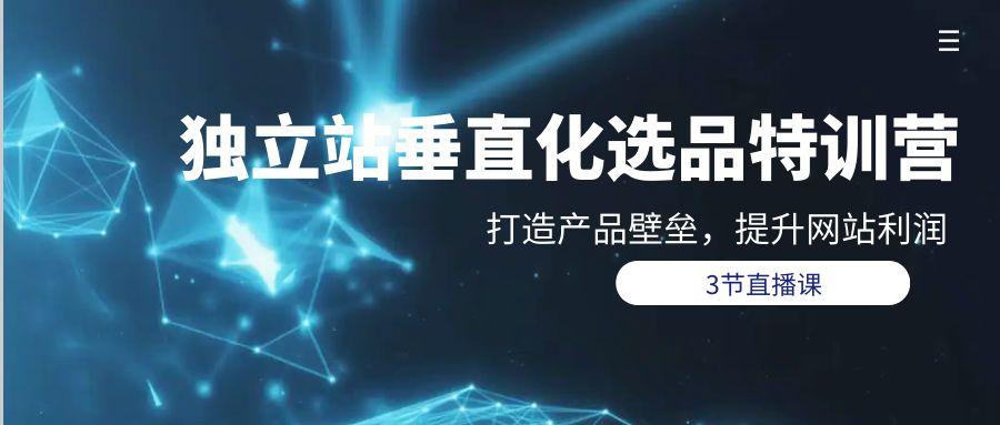(9925期)独立站-垂直化选品训练营，打造产品壁垒，提升网站利润(3节直播课)-七七项目网