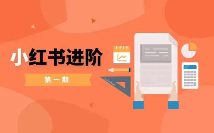 小红书进阶篇，零基础小白实战课，普通人变现的课程-七七项目网