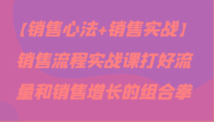 【销售心法+销售实战】销售流程实战课打好流量和销售增长的组合拳-七七项目网