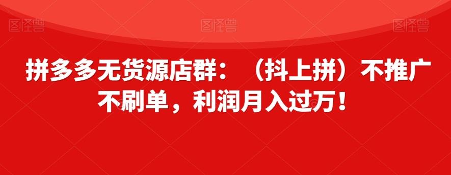 拼多多无货源店群：（抖上拼）不推广不刷单，利润月入过万！【揭秘】-七七项目网