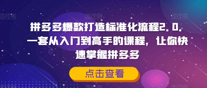 拼多多爆款打造标准化流程2.0，一套从入门到高手的课程，让你快速掌握拼多多-七七项目网