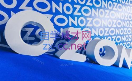 森哥·出海俄罗斯电商实操(2024)-七七项目网