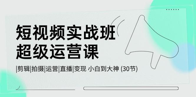短视频实战班超级运营课 |剪辑|拍摄|运营|直播|变现 小白到大神 (30节)-七七项目网