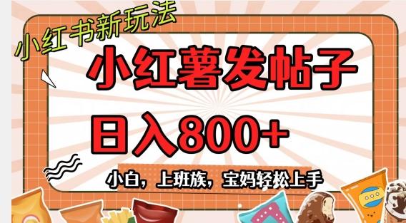 小红薯发日常帖子，日入800+小白专属项目可批量操作-七七项目网