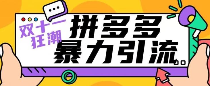 【首发】双十一拼多多暴力引流，日引300+微信-七七项目网