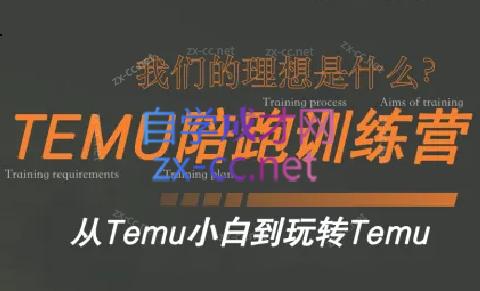 苗苗·拼多多跨境（temu）课程-七七项目网