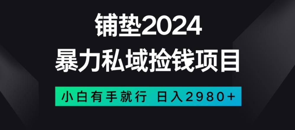 暴力私域捡钱项目，小白无脑操作，日入2980【揭秘】-七七项目网