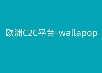 欧洲C2C平台-wallapop-kim跨境电商教程-七七项目网