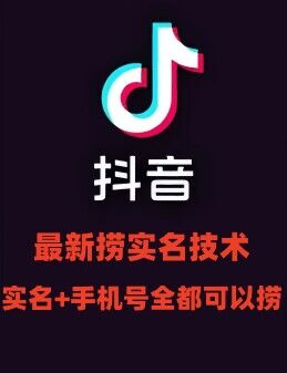 最新技术抖音捞实名+捞手机号技术，抖音直播封禁释放十名/手机号，直接替换出来!-七七项目网