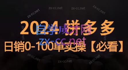 恒哥·2024拼多多日销0-100单实操-七七项目网
