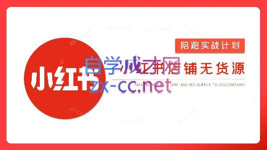 安琪·小红书店铺无货源-七七项目网