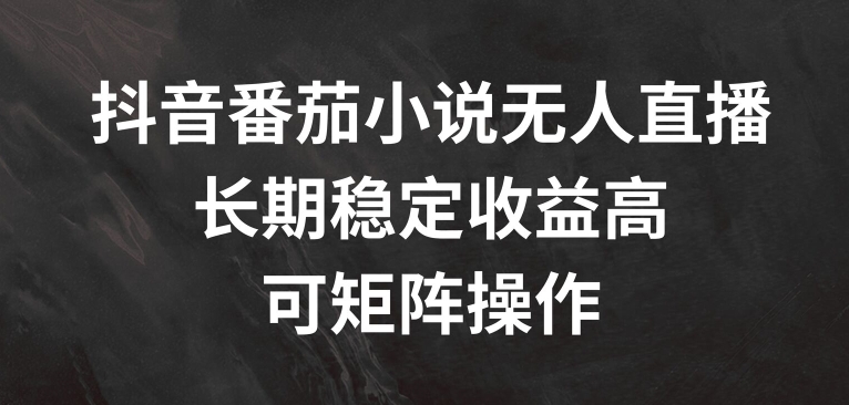 抖音番茄小说无人直播，长期稳定收益高，可矩阵操作【揭秘】-七七项目网