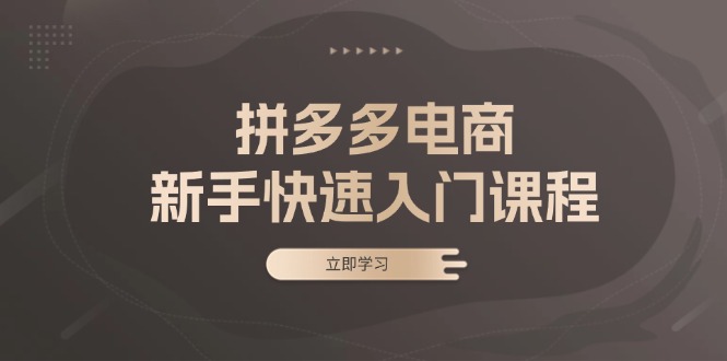 拼多多电商新手快速入门课程：涵盖基础、实战与选款，助力小白轻松上手-七七项目网