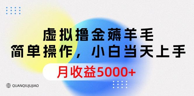 (9864期)虚拟撸金薅羊毛，简单操作，小白当天上手，月收益5000+-七七项目网