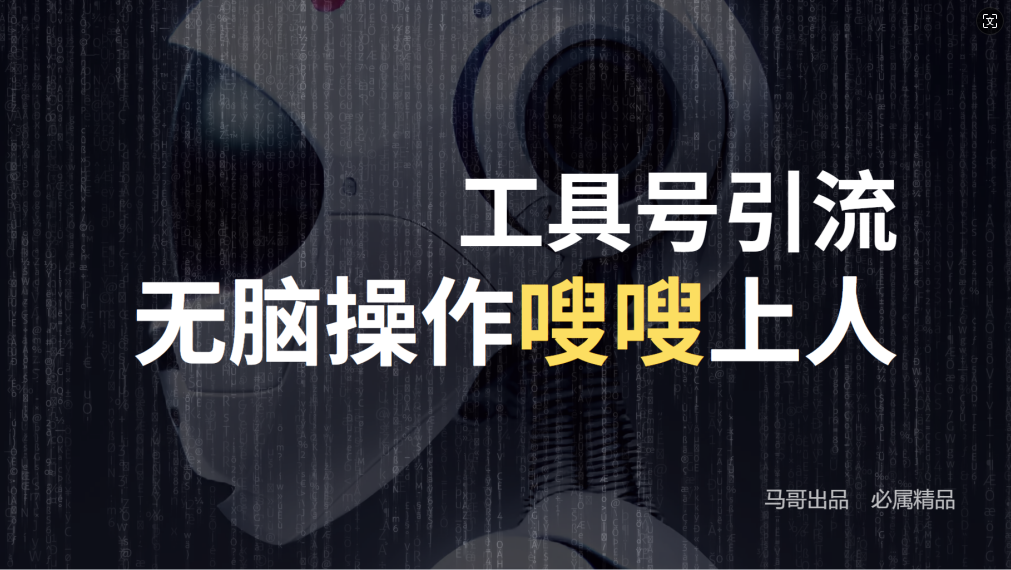 24年抖音最新工具号日引流300+创业粉，日入5000+-七七项目网