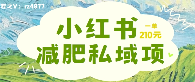 小红书减肥粉，私域变现项目，一单就达210元，小白也能轻松上手【揭秘】-七七项目网