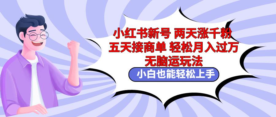 小红书新号两天涨千粉五天接商单轻松月入过万 无脑搬运玩法 小白也能轻…-七七项目网