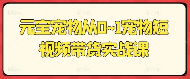 元宝宠物从0~1宠物短视频带货实战课-七七项目网