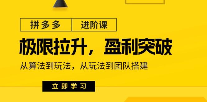 拼多多·进阶课：极限拉升/盈利突破：从算法到玩法 从玩法到团队搭建-18节-七七项目网