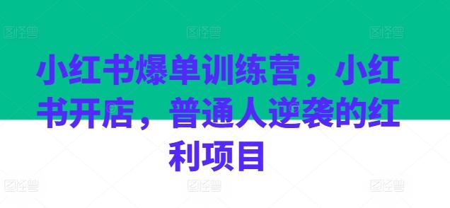 小红书爆单训练营，小红书开店，普通人逆袭的红利项目-七七项目网