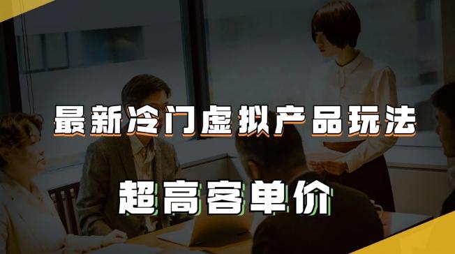 最新冷门虚拟产品玩法，超高客单价，月入2-3万＋【揭秘】-七七项目网