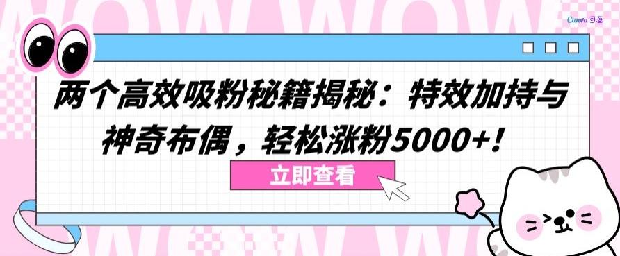 两个高效吸粉秘籍揭秘：特效加持与神奇布偶，轻松涨粉5000+【揭秘】-七七项目网