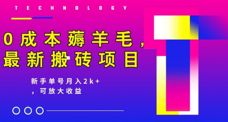 0成本薅羊毛，最新搬砖项目，新手单号月入2k+，可放大操作-七七项目网