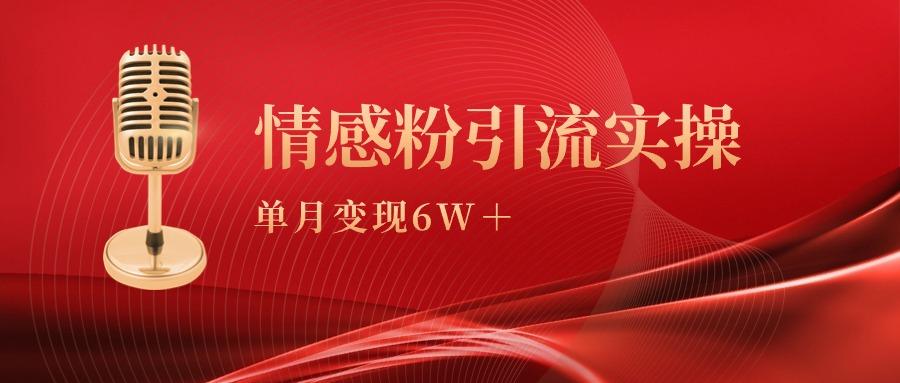 (9473期)单月变现6w+，情感粉引流变现实操课-七七项目网