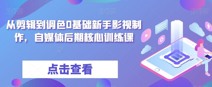 从剪辑到调色0基础新手影视制作，自媒体后期核心训练课-七七项目网