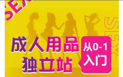 成人用品独立站从0-1入门，成品独立站运营全流程教学，七大好卖成品独立站推荐-七七项目网