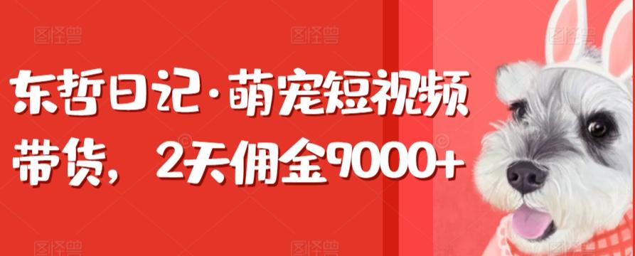 东哲日记·萌宠短视频带货，2天佣金9000+-七七项目网