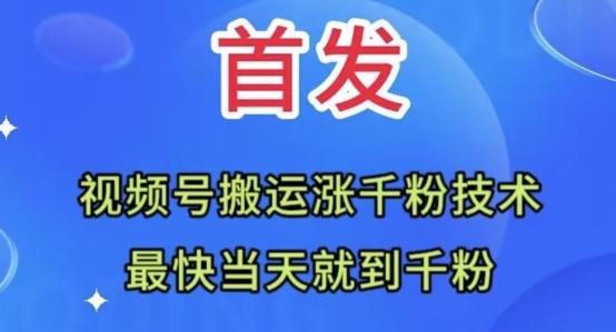 全网首发：视频号无脑搬运涨千粉技术，最快当天到千粉【揭秘】-七七项目网