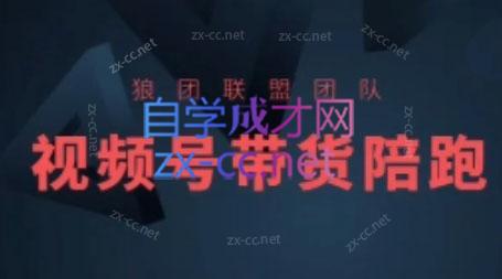 狼团联盟·2024视频号带货-七七项目网