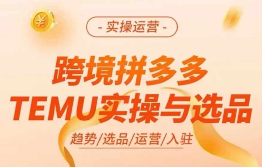 跨境拼多多TEMU实操与选品，多多temu跨境选品运营实操-七七项目网