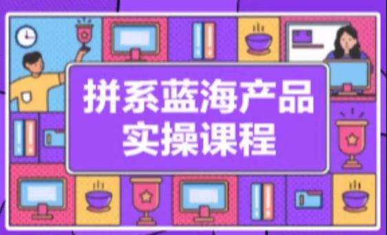 拼系冷门蓝海产品实操课程，从注册店铺到选品上架到流量维护环环相扣-七七项目网