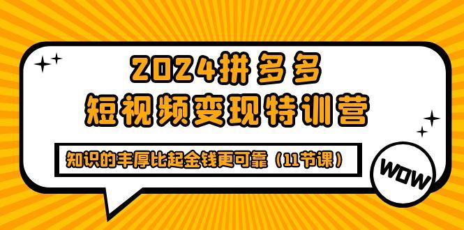 (9817期)2024拼多多短视频变现特训营，知识的丰厚比起金钱更可靠(11节课)-七七项目网