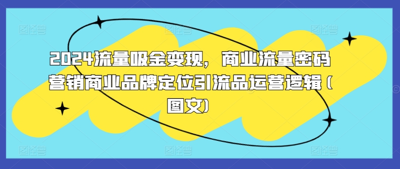 2024流量吸金变现，商业流量密码营销商业品牌定位引流品运营逻辑(图文)-七七项目网